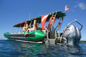 Ka'anapali: Whale Watching Bootstour