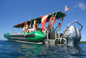 Ka'anapali: Anapali: Whale Watching Boat Tour