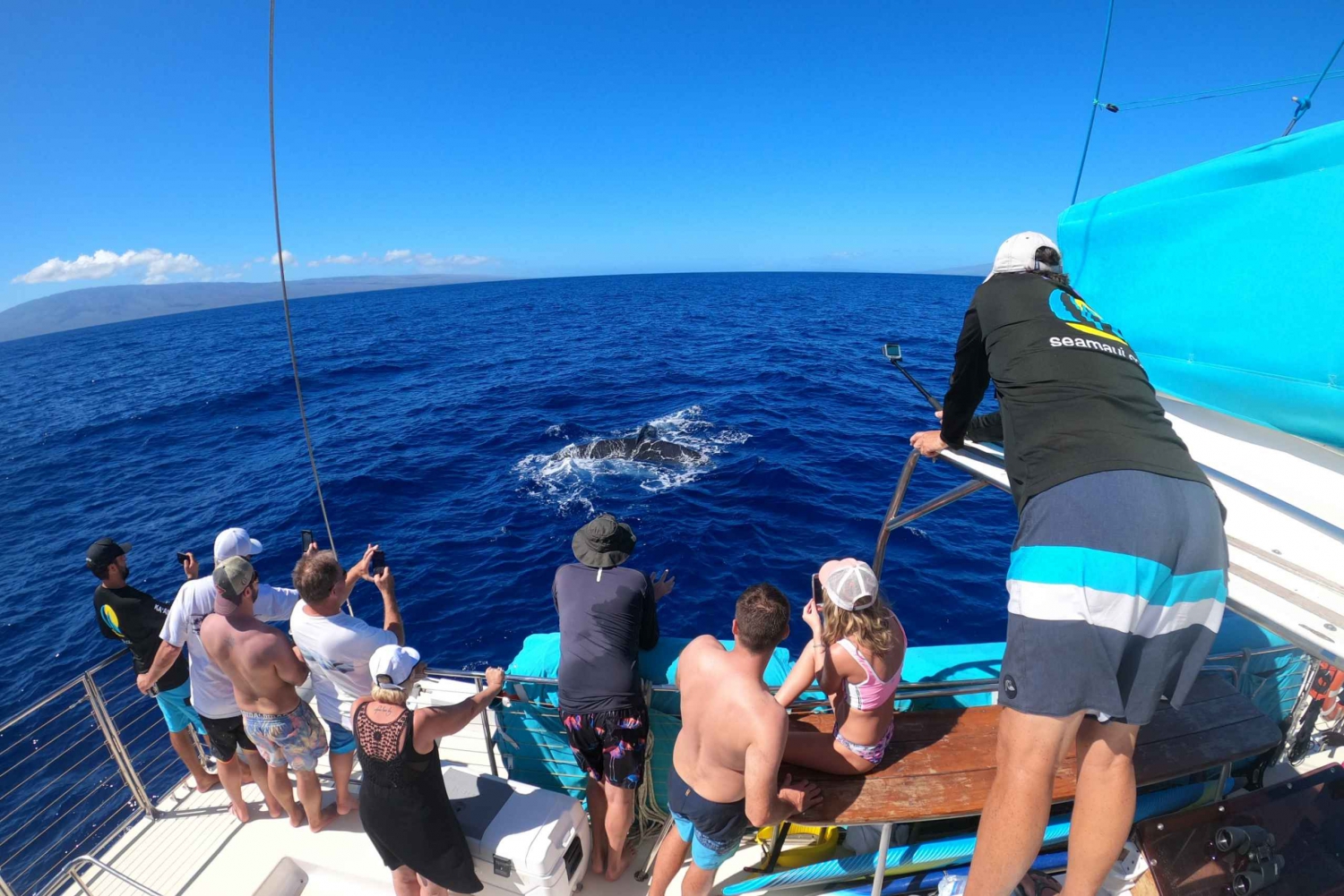 Kaanapali: Whale Watching Cruise with Open Bar