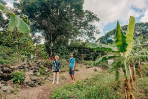 Kailua E-Bike Kau Kau: begeleide culinaire tour
