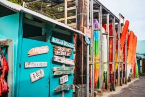 Kailua: Explora Kailua en una excursión guiada en kayak con almuerzo
