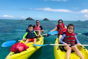 Kailua: Guided Kayak Tour to Popoia Island with Picnic Lunch