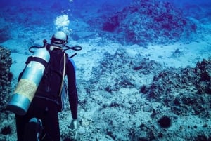 カイルア・コナ：2タンクモーニングダイブ