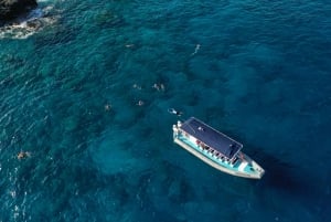 Kailua-Kona: Big Island Morning Snorkeling Tour with Lunch