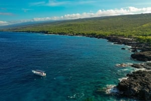 Kailua-Kona: Big Island Morning Snorkeling Tour with Lunch