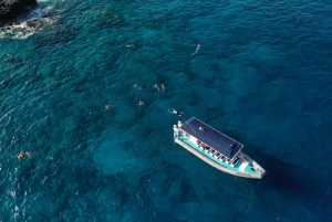 Kailua-Kona: ochtendsnorkeltour op Big Island met lunch