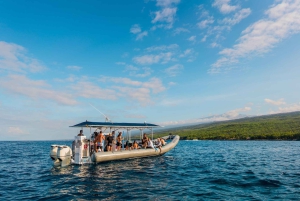 Kailua-Kona: Big Island Morning Snorkeling Tour with Lunch