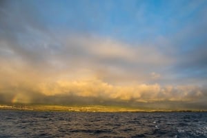 Kailua-Kona : Croisière en catamaran avec vue sur le volcan Hualālai