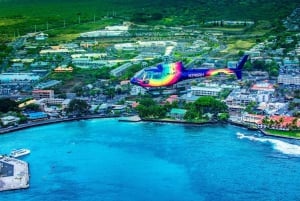 Kailua-Kona: Coastal Sights Aan/Uit Helikoptervlucht