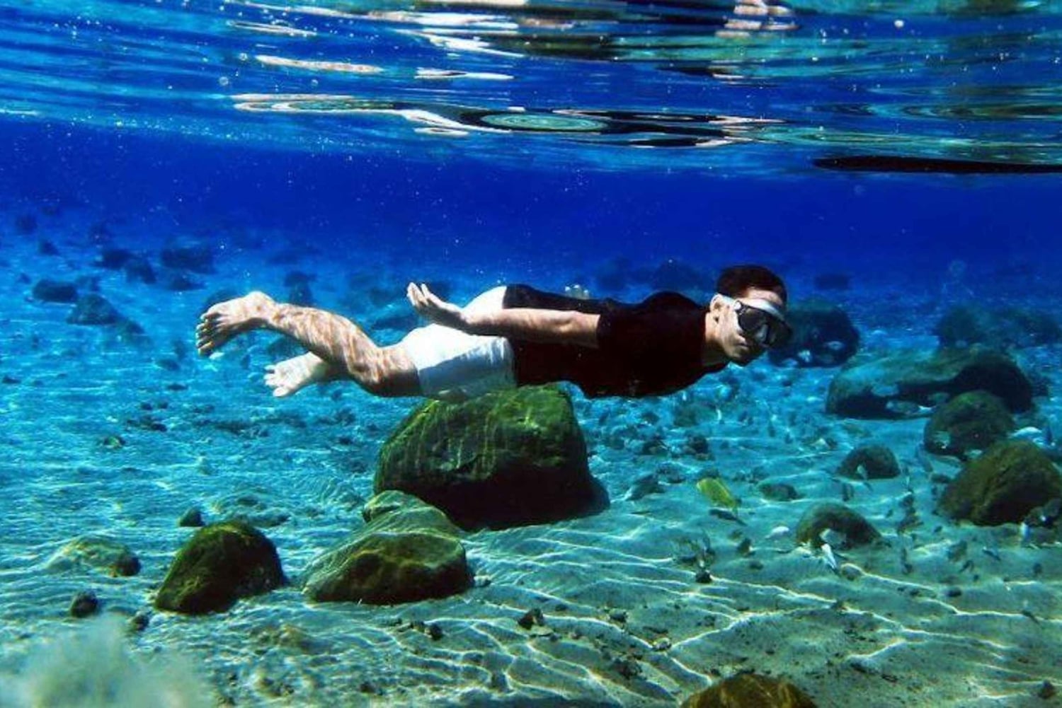 Kailua Kona: Delfin, Meereshöhle und Captain Cook Schnorcheltour