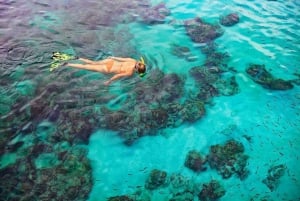 Kailua Kona: Snorkeltur med delfiner, havsgrottor och Captain Cook