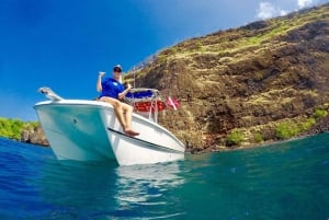 Kailua Kona: Snorkeltur med delfiner, havsgrottor och Captain Cook