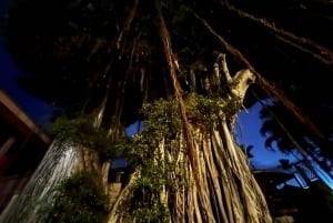 Kailua-Kona Haunted History Ghost Walking Tour