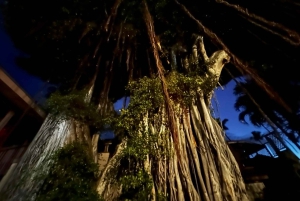 Kailua-Kona: Spøgelsesvandring med hjemsøgt historie