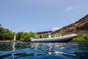 Kailua Kona: Snorkletur i Kealakekua Bay med lunsj