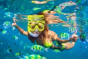 Kailua Kona: Snorkletur i Kealakekua Bay med lunsj