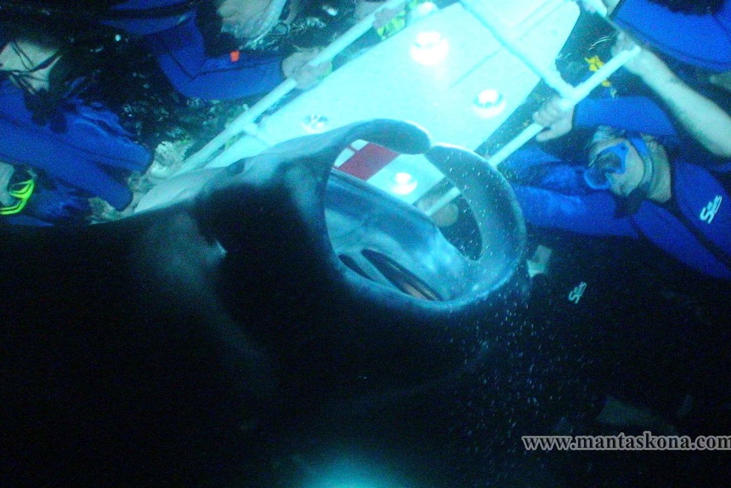 Kailua-Kona: Snorkling med mantarockor på kvällen LITEN GRUPP