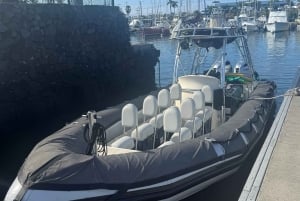 Kailua-Kona: Snorkling med mantarockor på kvällen LITEN GRUPP