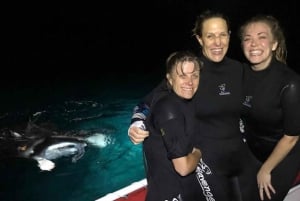 Kailua-Kona: Nocne nurkowanie z mantą w piance