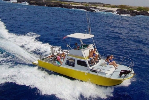 Kailua-Kona: Kaila Kailona: Night Manta Snorkel tai Dive
