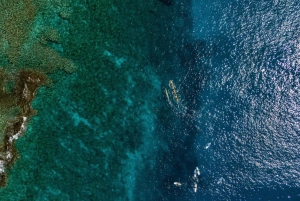 Kealakekua Bay: Outrigger-kanotfärd med kulturella insikter