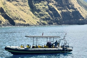 Kailua-Kona: Kailaona: Pacific Humpback Whale Watch Excursion