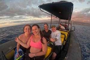 Kailua-Kona: Kailaona: Pacific Humpback Whale Watch Excursion