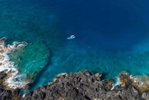 Kailua-Kona: Crucero en lancha rápida para observar delfines y barbacoa