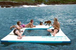 Kailua-Kona: Observação de golfinhos em lancha rápida, cruzeiro com snorkel e churrasco