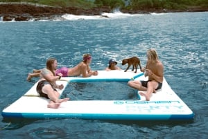 Kailua-Kona: Snorkelcruise med hurtigbåt og grillmat for delfiner