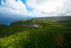 Kailua-Kona: passeio de helicóptero pelo vulcão e Kohala Landing