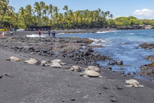 Kailua-Kona: Vulkaner, lavatunnel och svart sandstrand