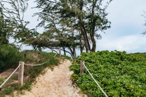 Kailua: Geführte Kajak- und Schnorcheltour zu den Mokulua-Inseln
