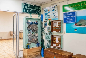 Kailua: Geführte Kajak- und Schnorcheltour zu den Mokulua-Inseln