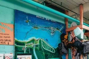 Kailua: Geführte Kajak- und Schnorcheltour zu den Mokulua-Inseln