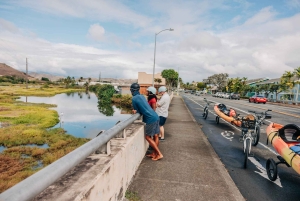 Kailua, Oahu: Excursión guiada en bicicleta eléctrica y kayak a las islas Mokulua