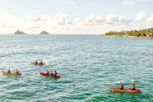Kailua, Oahu: Excursión guiada en bicicleta eléctrica y kayak a las islas Mokulua