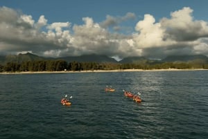 Kailua, Oahu Excursión Guiada en Kayak por la Isla Popoia y la Bahía de Kailua
