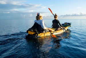Kaneohe: Kaneohe Bay Coral Reef Kayaking Rental Adventure