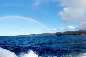 Kauai: Eftermiddagsdyk med 2 tankar