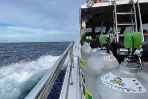 Kauai: Eftermiddagsdyk med 2 tankar