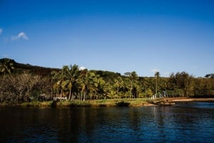 Kauai: Allerton Garden and Estate Tour met diner bij zonsondergang