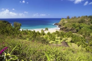Kauai: Allerton Garden guidet gruppevandring