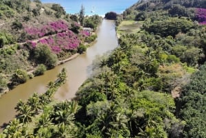 Kauai: begeleide groepswandeling door Allerton Garden
