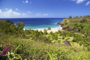 Kauai: Allerton Garden Guided Group Walking Tour