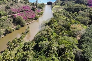 Kauai: Allerton Garden Guided Group Walking Tour