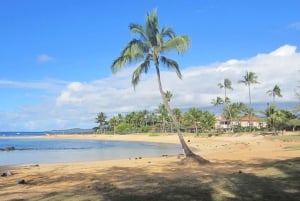 Kauai: Customized Luxury Private Tour