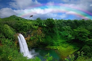 Kauai: Customized Luxury Private Tour