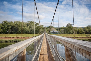 Tour di un giorno a Kauai: Kalalau, Waimea, Poipu, crociera o trasferimento dall'aeroporto