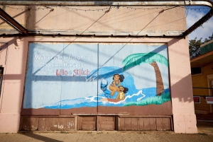 Tour di un giorno a Kauai: Kalalau, Waimea, Poipu, crociera o trasferimento dall'aeroporto